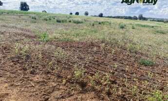 Imagem 4: Fazenda 60 alqueires Professor Jamil