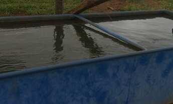 Imagem 5: Vendo excelente chácara de 16,2 hectares em Formosa próximo a BR 020