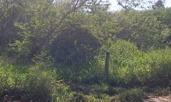 Imagem 7: Terreno Residencial e Comercial no Bairro Ressacada, em Garopaba!