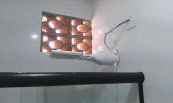 Imagem 6: KitNet Kitnet com 1 dormitório