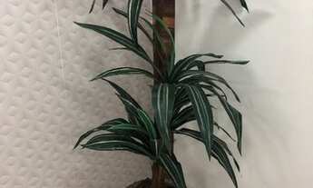 Imagem 6: Sala/Conjunto para aluguel possui 42 metros quadrados com 1 quarto em Vila Mathias - Santo