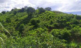 Imagem 2: Alqueire Fazenda / sítio com venda por R$50.000