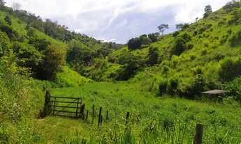 Imagem 6: Alqueire Fazenda / sítio com venda por R$50.000