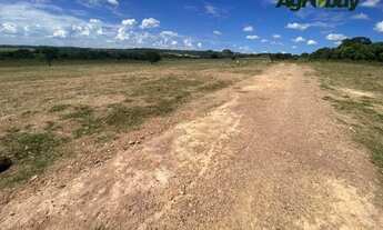 Imagem 2: Fazenda 60 alqueires Professor Jamil