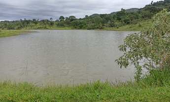 Imagem 7: Fazenda em Guaraita 50 alqueires