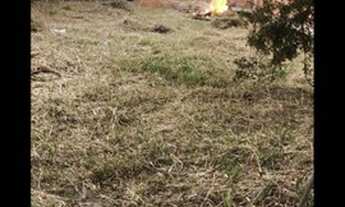 Imagem 5: Terreno na rua 52 abaixo da Av. 2