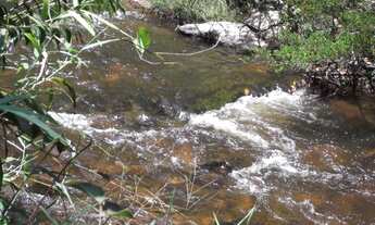 Imagem 3: Terreno rural 36.000m², rios nos fundos, muito verde, Serra do Cipó (Temos varias opções)
