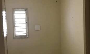 Imagem 2: Kit Net Capim Macio