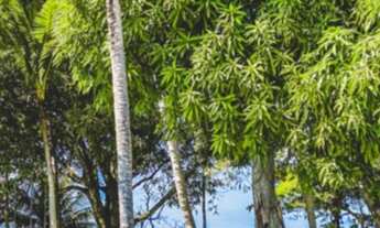 Imagem 7: Sol e Mar no paraíso