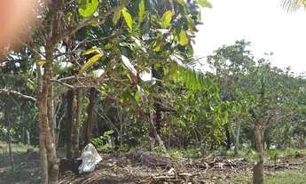 Imagem 6: Sítio no Rio preto da eva