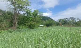 Imagem 3: Terra Rural com cachoeira e igarapé, otima para balneário e plantação