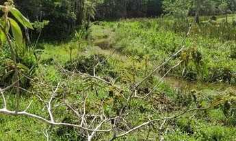 Imagem: Vende se sítio