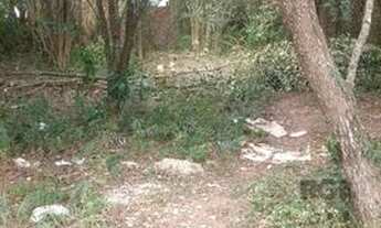 Imagem 2: Terreno em Lomba do Pinheiro