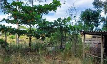 Imagem 2: Chácara Chácara com venda por R$400.000