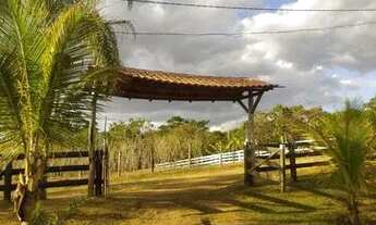 Imagem 7: Oportunidade única, lago corumbá