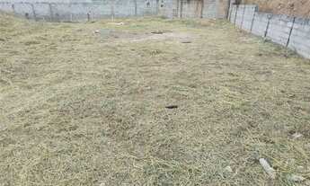 Imagem 4: Terreno Residencial / Nova Trieste com 270 m² pronto pra construir com ótima topografia