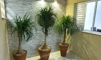 Imagem 4: Vendo Casa Bragança Paulista