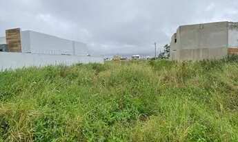 Imagem 3: Vendo Terreno - ALPHAVILLE