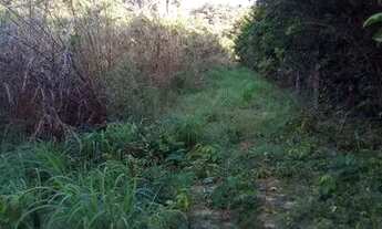 Imagem 6: Terrena para sitio