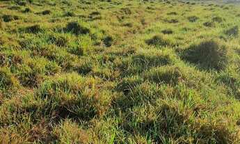 Imagem 2: Chácara /sítio