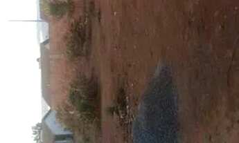 Imagem 4: CASA PADRÃO CAIXA 2 Quartos