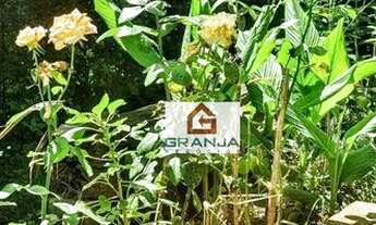 Imagem 5: Casa com 5 dormitórios, 850 m² - venda por R$ 3.800.000,00 ou aluguel por R$ 24.104,34/mês