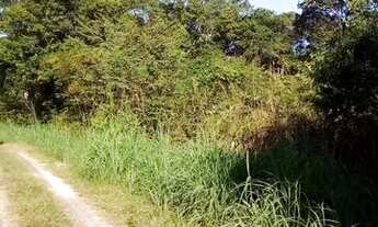 Imagem 4: Terrena para sitio