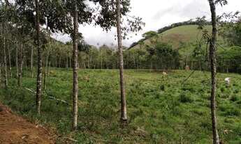 Imagem 4: Vende se sítio Chácara com venda por R$180.000