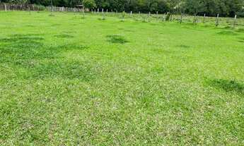 Imagem 7: LP - Vendo excelente terreno, 100% plano