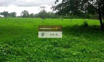 Imagem 5: Fazenda Extra em Mutunopolis-GO ! 45 alqueires toda formada!