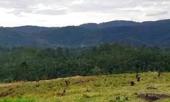 Imagem 5: Terreno em Mairiporã!