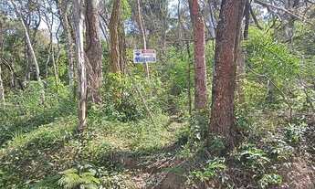 Imagem 4: Chácara à venda, 3.600 m² - Chácara Nova Essen - Campo Limpo Paulista/SP Venha aproveitar