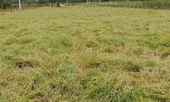 Imagem 3: Terreno 2.800m2 - Pilar do Sul