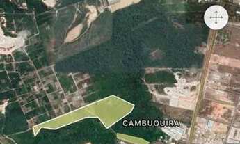 Imagem: Terreno 10 hectares abertos documentado