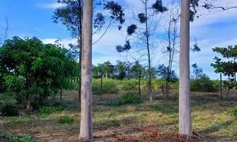 Imagem 6: Chácara Chácara com venda por R$400.000