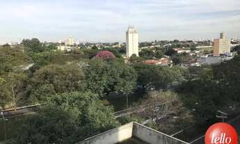 Imagem 3: São Paulo - Apartamento Padrão - Moema