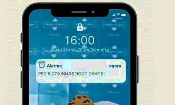 Imagem 3: Coxinhas Artesanais BOA VIAGEM