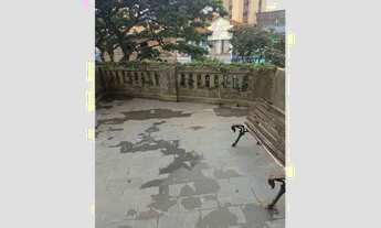 Imagem 5: Casa 2 dormitórios para alugar, cozinha, 1 banheiro, sala e lavanderia