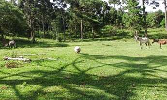 Imagem 6: Sítio campo Alegre SC