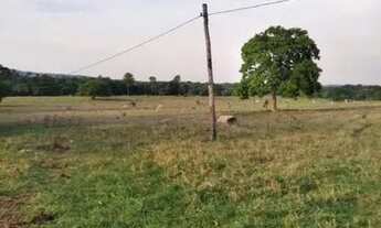 Imagem 2: Fazenda Dupla Aptidão Município de Montes Claros Goiás ! 30 alqueires !