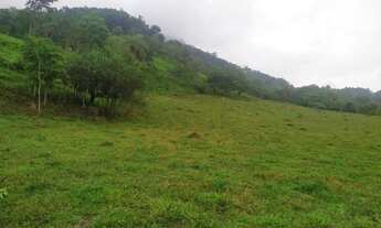 Imagem 7: Fazenda 36 hectares localizada no distrito de Azurita, na cidade de Mateus Leme