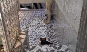 Imagem 4: Rio de Janeiro - Casa Padrão - Grajaú