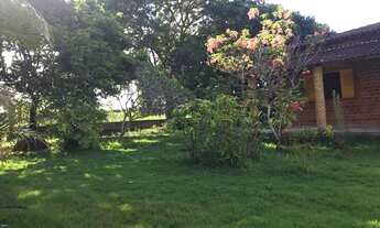 Imagem 2: Fazenda/Sítio/Chácara para venda com 3000 metros quadrados com 3 quartos em Zona Rural - S