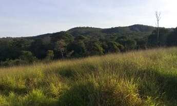 Imagem 2: Oportunidade em Planaltina DF!Vendo excelente chácara com muita água!