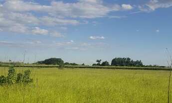 Imagem 2: Oportunidade vendo excelentes chacara no lago oeste 3.5 hectares
