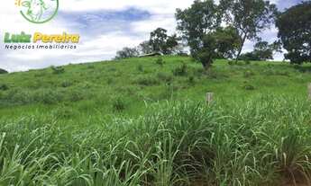 Imagem 4: FAZENDA À VENDA EM APARECIDA DO RIO NEGRO - TO - 1.335 HEC (DUPLA APTIDÃO