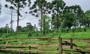 Imagem: Chácara São Mateus do Sul pronta morar