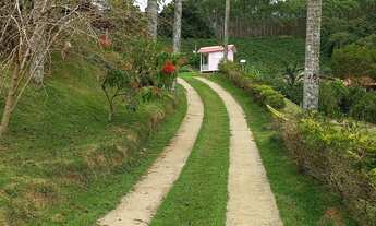 Imagem 3: Vendo Chácara Domingos Martins (27) 99508 2284 Whatsapp