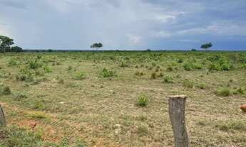 Imagem 7: Fazenda em 2 irmãos localizada no vale do Araguaia