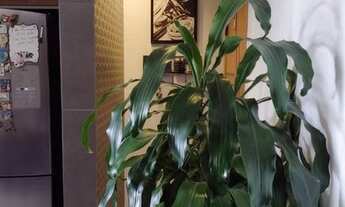 Imagem 4: Residencial Santa Mercedes - 2 dorms - 70m² - Jaguariúna